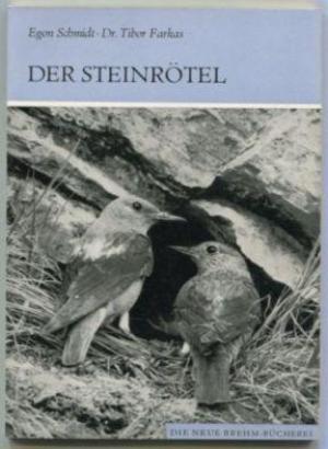 Seller image for Der Steinrtel. Monticola saxatilis. (Neue Brehm-Bcherei Band 478) for sale by Schueling Buchkurier