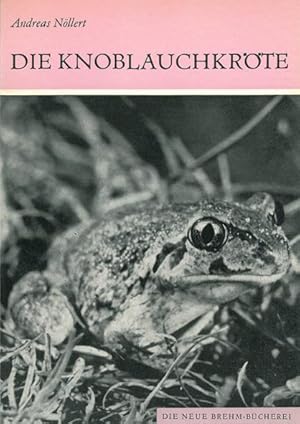 Bild des Verkufers fr Die Knoblauchkrte. Pelobates fuscus. (Neue Brehm-Bibliothek, Heft 561) zum Verkauf von Schueling Buchkurier