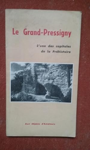 Le Grand-Pressigny. L'une des capitales de la Préhistoire