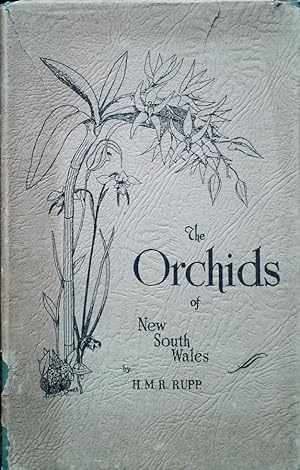 Imagen del vendedor de The orchids of New South Wales a la venta por Acanthophyllum Books