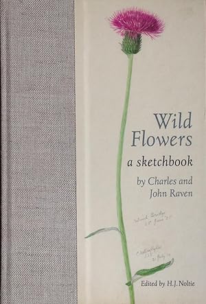 Imagen del vendedor de Wild flowers: a sketchbook a la venta por Acanthophyllum Books