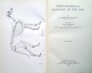 Topographical anatomy of the dog