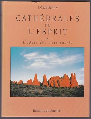 Cathédrales de l'esprit. L'appel des sites sacrés