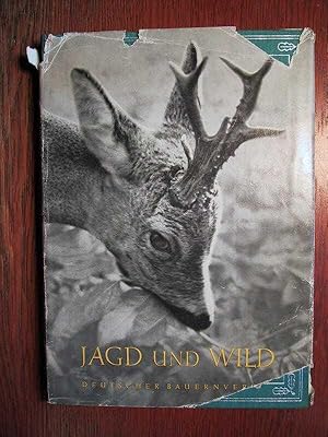 Jagd und Wild.