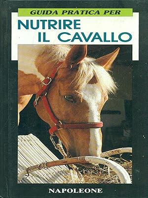 Nutrire il cavallo