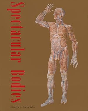 Seller image for Spectacular Bodies: The Art and Science of the Human Body from Leonardo to Now for sale by Diatrope Books