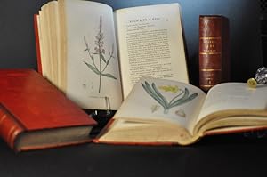 Plantes de la France décrites et peintes d'après nature.1805