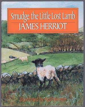 Smudge, the little Lost Lamb.