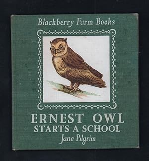 Imagen del vendedor de Ernest Owl Starts a School. a la venta por Truman Price & Suzanne Price / oldchildrensbooks