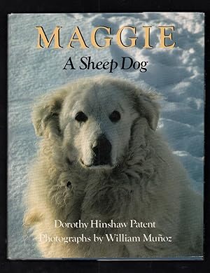 Maggie A Sheep Dog (Kuvasz)