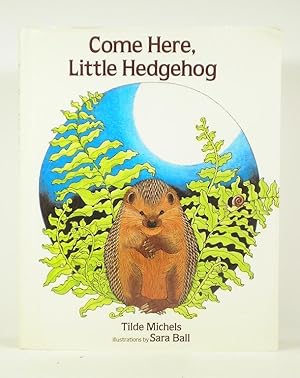 Seller image for Come Here Little Hedgehog for sale by Banjo Booksellers, IOBA