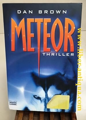 Meteor: Thriller; Aus den Amerikanischen übersetzt von Peter A. Schmidt