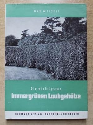 Immagine del venditore per Die wichtigsten immergrnen Laubgehlze - Ein Nachschlagebuch fr Fachmann und Liebhaber. venduto da Antiquariat BcherParadies