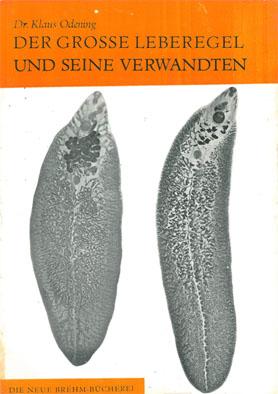 Imagen del vendedor de Der grosse Leberegel und seine Verwandten (Neue Brehm-Bcherei, Heft 444) a la venta por Schueling Buchkurier