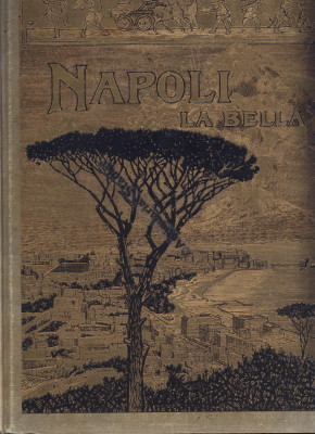 Napoli la bella. Eine Wanderung durch Neapel und Umgebung.