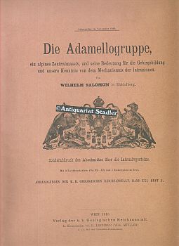 Die Adamellogruppe, ein alpines Zentralmassiv und seine Bedeutung für die Gebirgsbildung und unse...