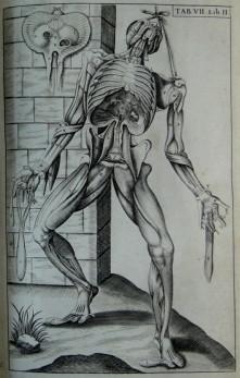 Seller image for Anatomie ofte Afbeeldinghe van de Deelen des menschelijcken lichaems, en derselver Verklaringhe. Met Een aenwijsinghe om het selve te ontleden volgens de leeringe. Galleni , Vesallii , Fallopii en Arantii. Bedieninghe der Anatomien for sale by de KunstBurg