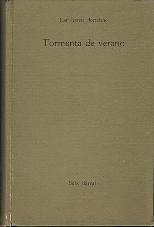 Imagen del vendedor de TORMENTA DE VERANO a la venta por Librera Torren de Rueda