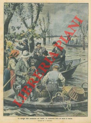 Il Po' e l'Adige straripano, contadini veneti vendemmiano con la barca.