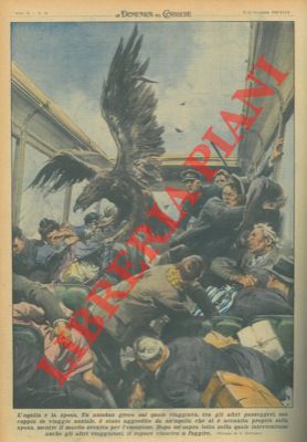 L'aquila e la sposa. Un autobus dove viaggiava, tra gli altri passeggeri, una coppia di sposi, è ...