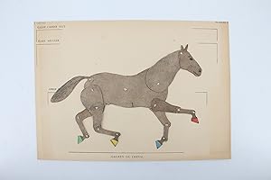 Imagen del vendedor de Le cheval - Complet du Texte et de l'Atlas a la venta por Librairie Le Feu Follet