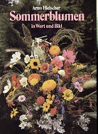 Seller image for Sommerblumen in Wort und Bild, for sale by Kirjat Literatur- & Dienstleistungsgesellschaft mbH