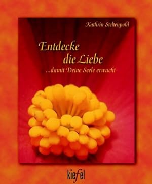 Imagen del vendedor de Entdecke die Liebe : . damit deine Seele erwacht. a la venta por Allguer Online Antiquariat