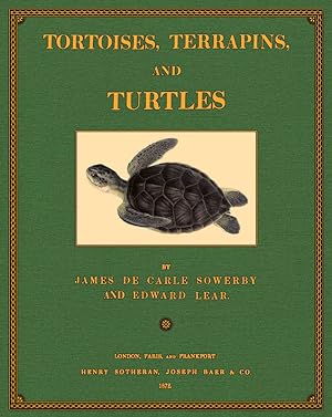 Bild des Verkufers fr Turtles zum Verkauf von Antiquariat  Fines Mundi