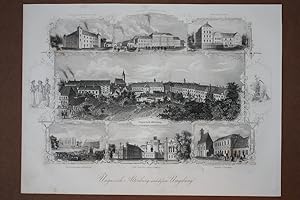 Ungarisch Altenburg und dessen Umgebung, Stahlstich um 1845 als Souvenirblatt mit Gesamtansicht u...