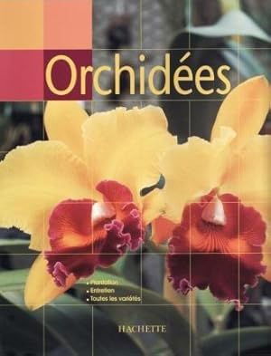 Orchidées plantation, entretien