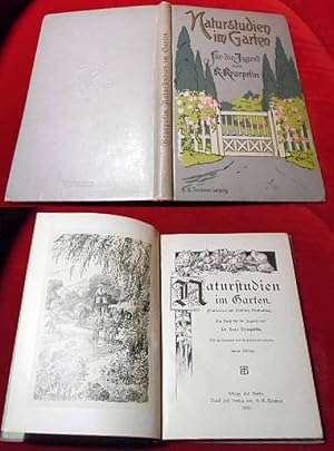 Imagen del vendedor de Naturstudien im Garten. Plaudereien am Sonntag Nachmittag. Ein Buch fr die Jugend. Mit Zeichnungen von O.Schwindrazheim. a la venta por Antiquariat Clement