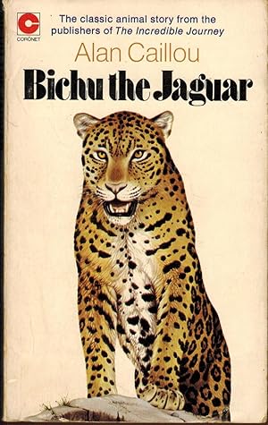 Bichu the Jaguar