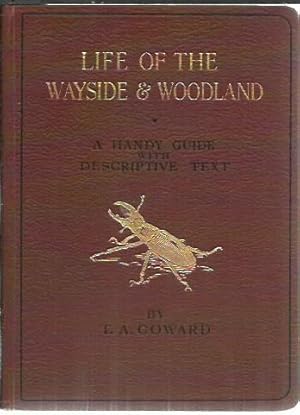 Life of Wayside and Woodland When, Where, and What to Collect.