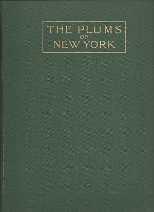 THE PLUMS OF NEW YORK : State of New York - Department of Agriculture - Eighteenth Annual Report ...