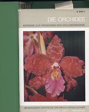 Bild des Verkufers fr Die Orchidee 28. Jahrgang 1977 Hefte 1-6 (im Originalordner) zum Verkauf von Clivia Mueller