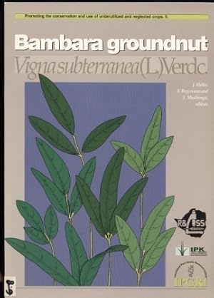 Bambara Groundnut