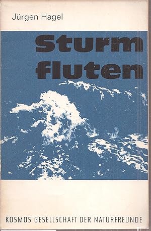 Seller image for Sturmfluten for sale by Clivia Mueller