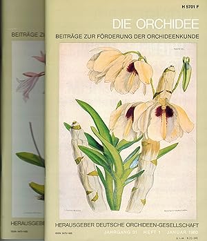 Bild des Verkufers fr Die Orchidee 31. Jahrgang 1980 Hefte 1-6 (im Originalordner) zum Verkauf von Clivia Mueller