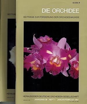 Bild des Verkufers fr Die Orchidee 38.Jahrgang 1987 Heft 1-6 (6 Doppel-Hefte im zum Verkauf von Clivia Mueller