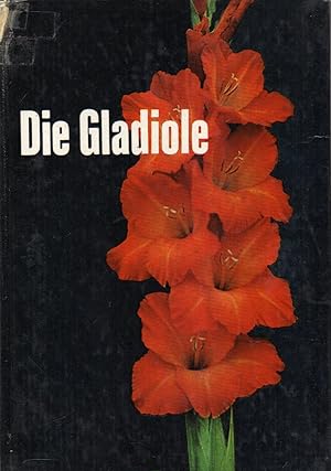 Die Gladiole