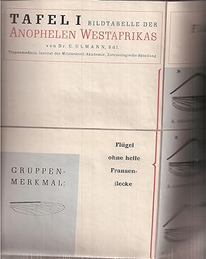 Seller image for Bild-Tabellen der Anophelen Westafrikas for sale by Clivia Mueller