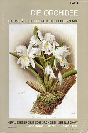 Imagen del vendedor de Die Orchidee 36.Jahrgang 1985 Heft 1 bis 6 (6 Hefte) a la venta por Clivia Mueller