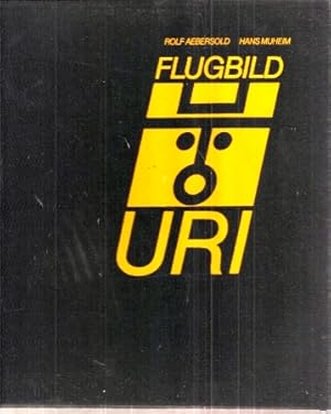 Flugbild URI