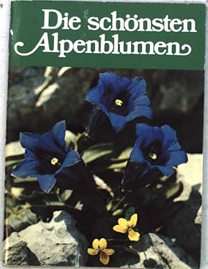 Bild des Verkufers fr Die schnsten Alpenblumen; zum Verkauf von books4less (Versandantiquariat Petra Gros GmbH & Co. KG)