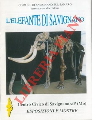 L'elefante di Savignano.