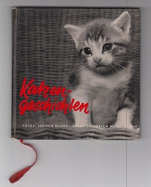 Image du vendeur pour Katzengeschichten. mis en vente par Allguer Online Antiquariat