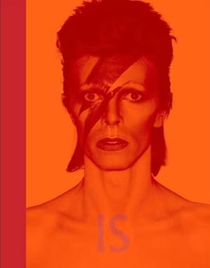 Imagen del vendedor de David Bowie Is a la venta por Rheinberg-Buch Andreas Meier eK