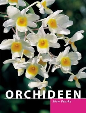 Seller image for Orchideen for sale by Versandantiquariat Felix Mcke