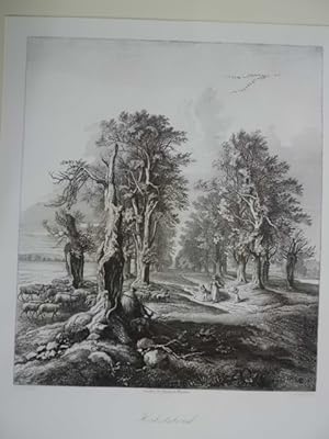 Herbstabend. Allee mit Schafherde und Schäfer. Radierung nach Ernst Oehme (1797-1855), Druck v. F...