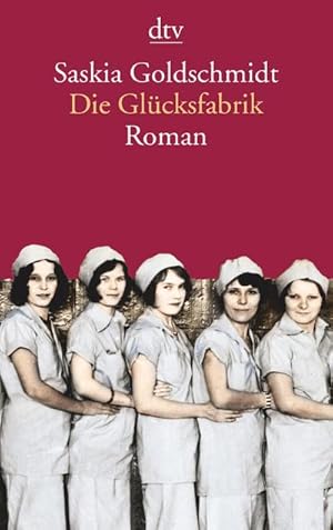 Bild des Verkufers fr Die Glcksfabrik (dtv Literatur) : Roman zum Verkauf von AHA-BUCH